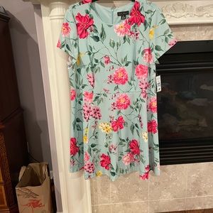 GREEN AND PINK PLUS SIZED DRESS